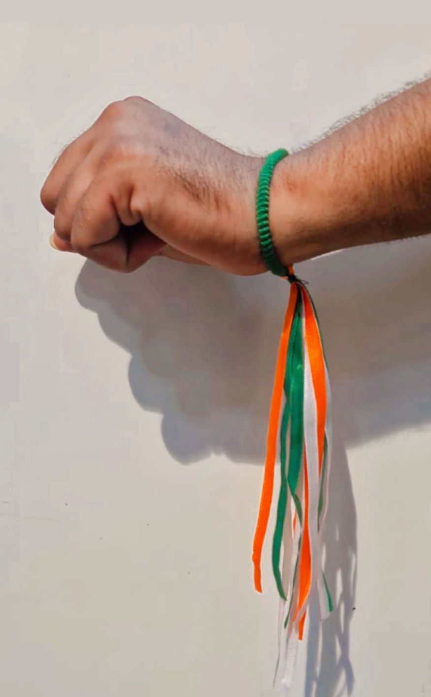 Tricolor POM POM Set of 10 Pcs