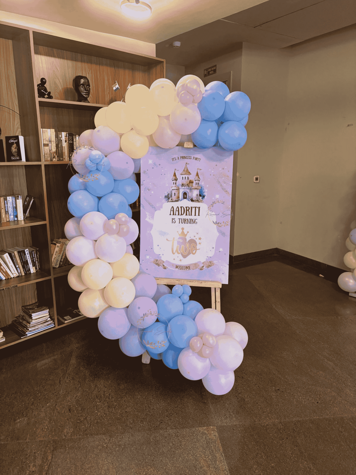 Disney Princess Birthday Decoration with Backdrop &amp; Cake Table